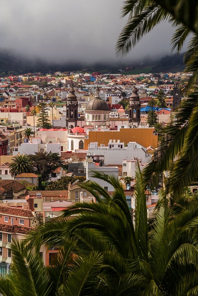 Canary Islands-Tenerife Island-San Cristobal de La Laguna-elevated view of the historical center